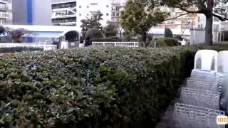 每股资本公积金网调沈阳大一小骚楼道自慰
